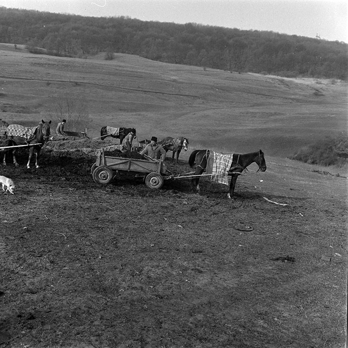 minerva_1986-1987_agrar_c6r1_024