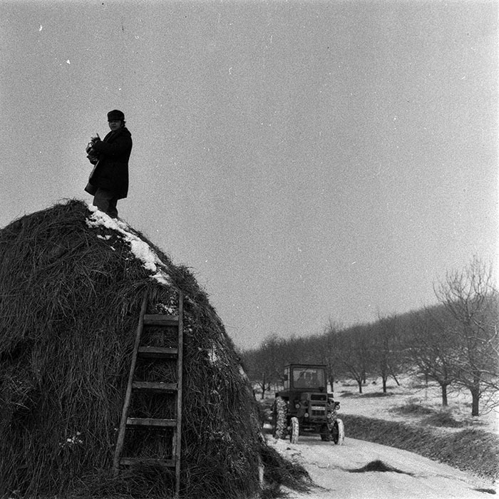 minerva_1986-1987_agrar_c6r3_008