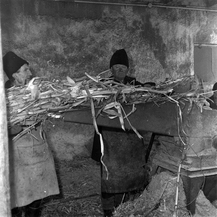 minerva_1986-1987_agrar_c6r5_006