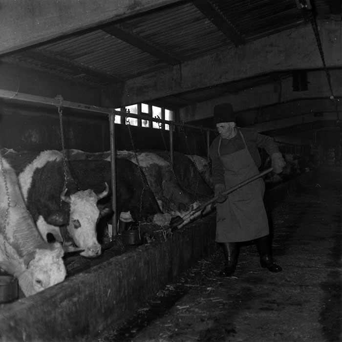 minerva_1986-1987_agrar_c6r5_008