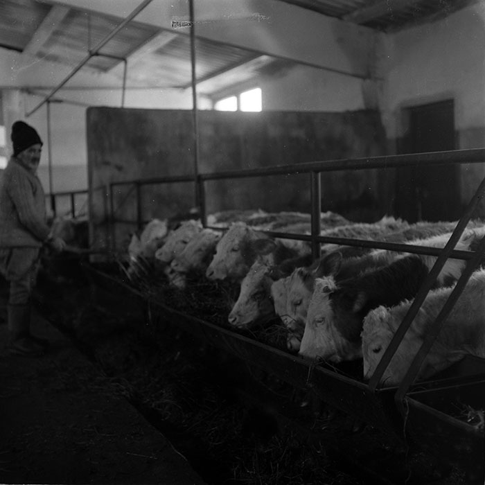 minerva_1986-1987_agrar_c7r1_001