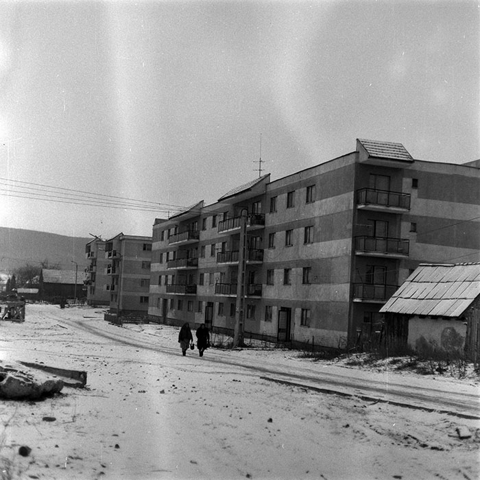 minerva_1986-1987_agrar_c7r1_005