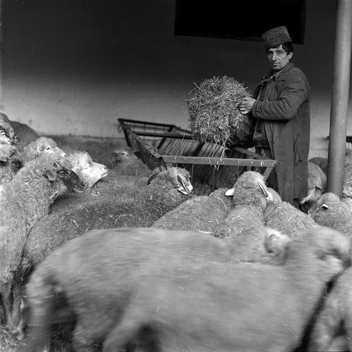 minerva_1986-1987_agrar_c7r2_004