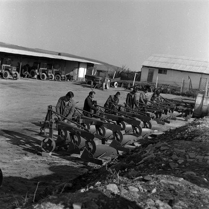 minerva_1986-1987_agrar_c7r2_011