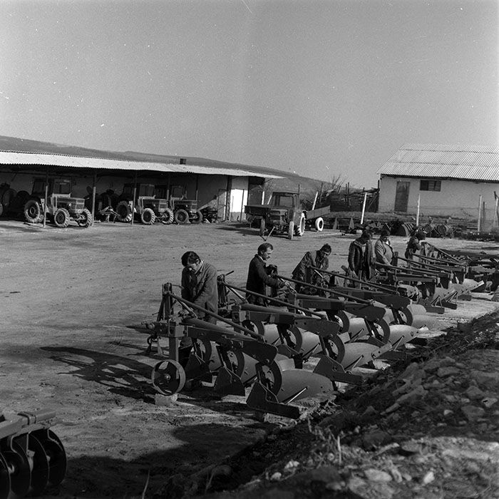 minerva_1986-1987_agrar_c7r2_012