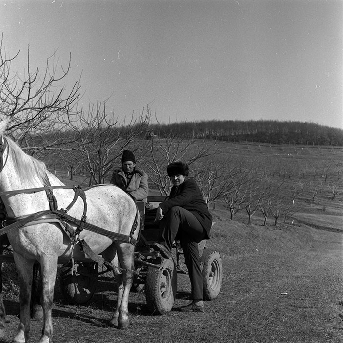 minerva_1986-1987_agrar_c7r2_015