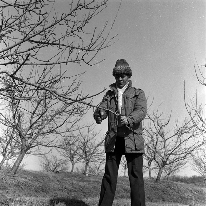 minerva_1986-1987_agrar_c7r2_016