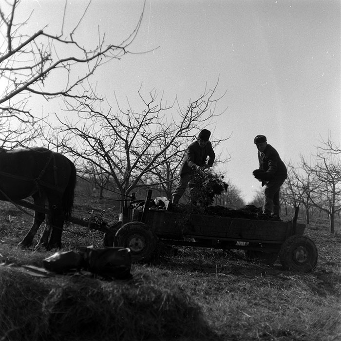 minerva_1986-1987_agrar_c7r2_024