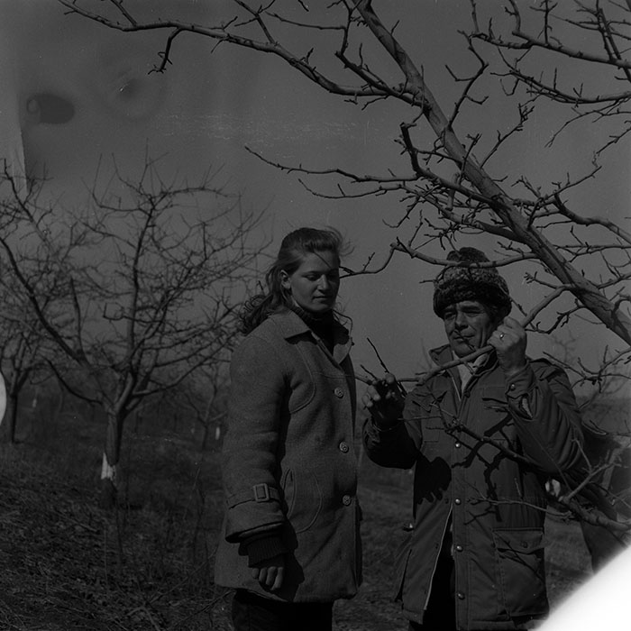 minerva_1986-1987_agrar_c7r2_031