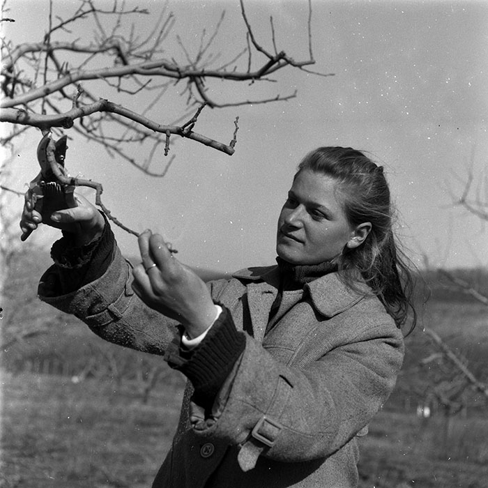 minerva_1986-1987_agrar_c7r2_043