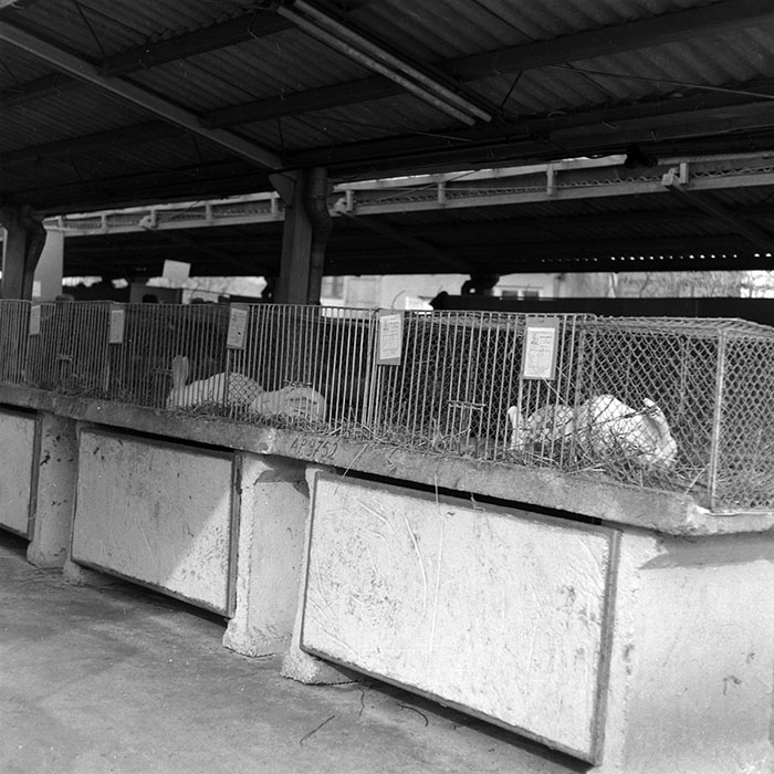 minerva_1986-1987_agrar_c7r4_004