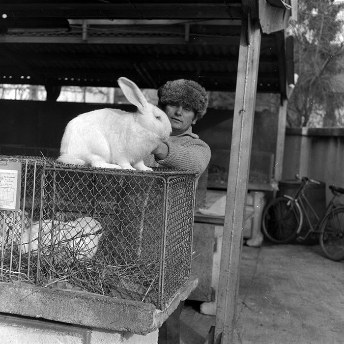 minerva_1986-1987_agrar_c7r4_008