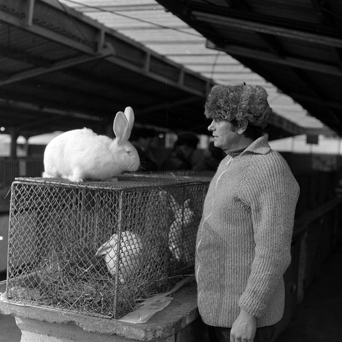 minerva_1986-1987_agrar_c7r4_009