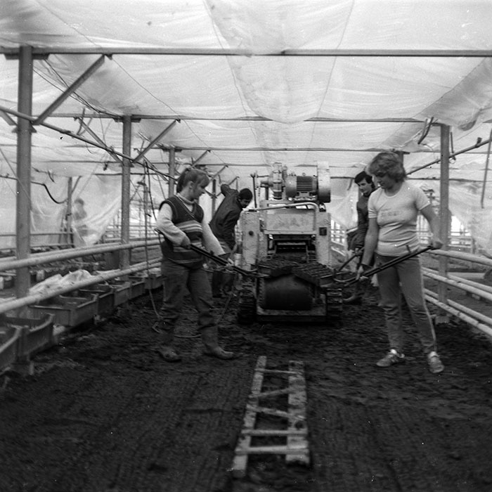 minerva_1986-1987_agrar_c8r2_001