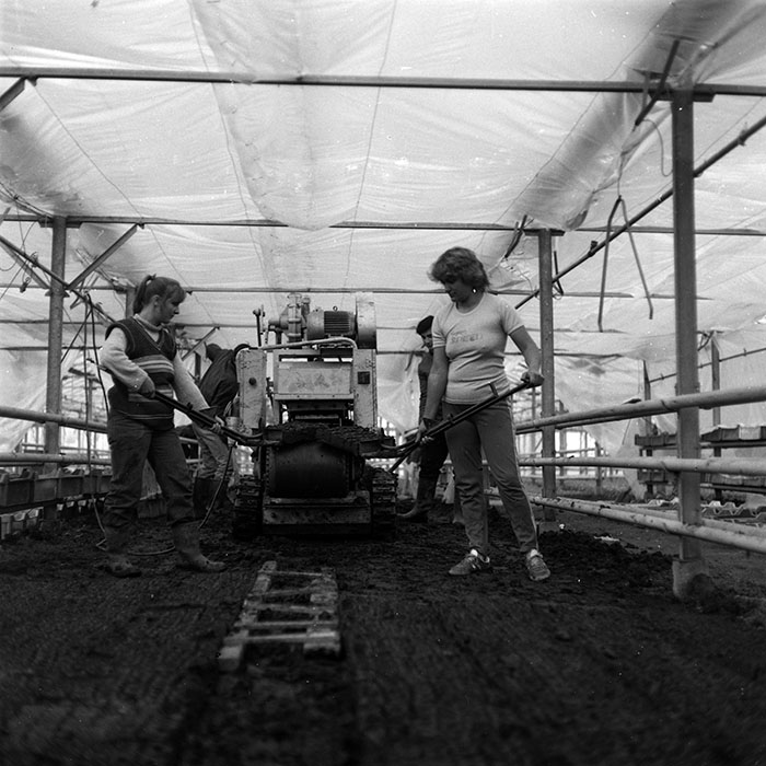 minerva_1986-1987_agrar_c8r2_002