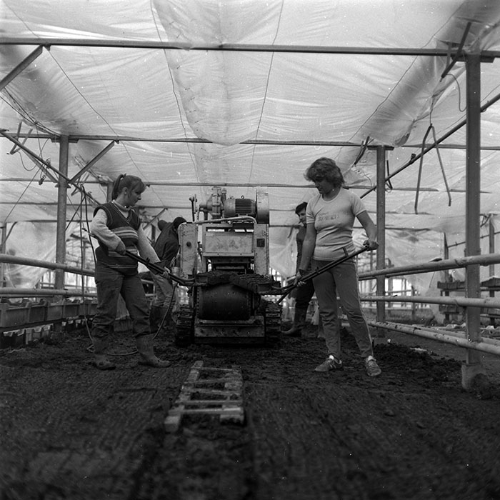 minerva_1986-1987_agrar_c8r2_003