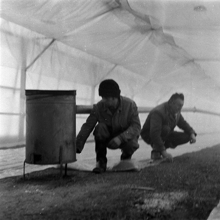 minerva_1986-1987_agrar_c8r2_009