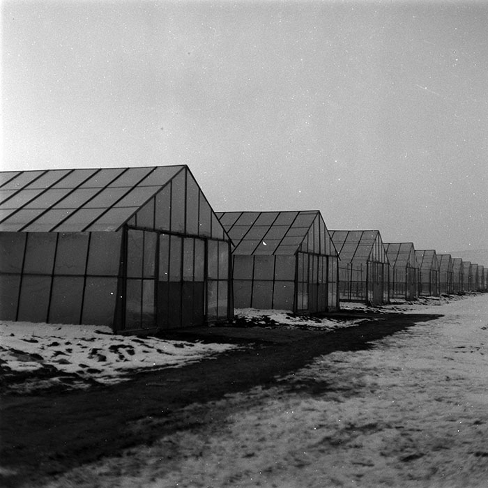 minerva_1986-1987_agrar_c8r2_010