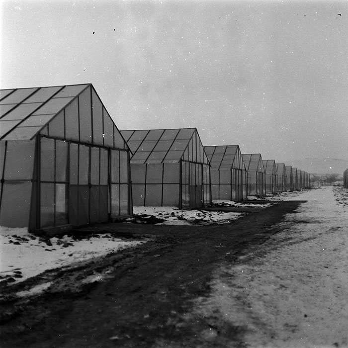 minerva_1986-1987_agrar_c8r2_011