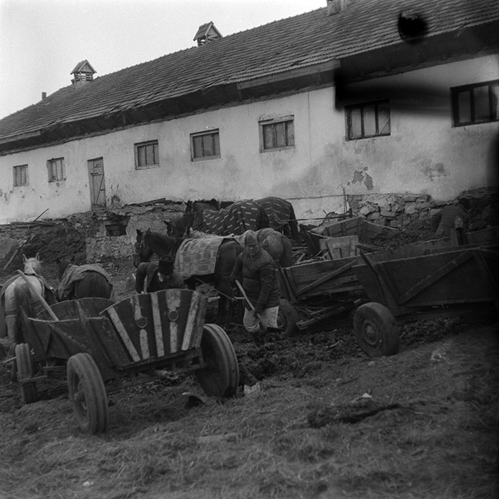 minerva_1986-1987_agrar_c8r3_001