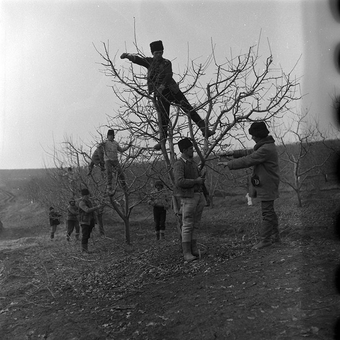 minerva_1986-1987_agrar_c8r3_005