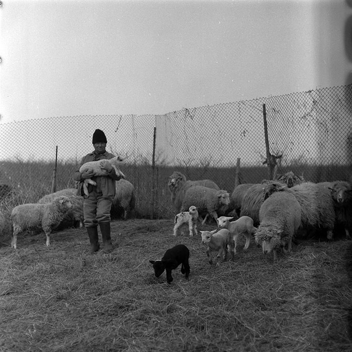 minerva_1986-1987_agrar_c8r3_008