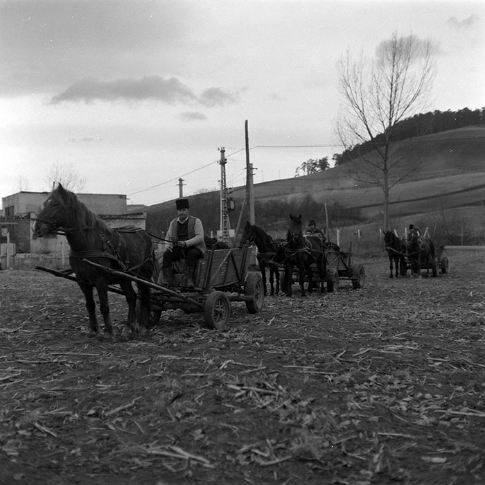 minerva_1986-1987_agrar_c8r5_001