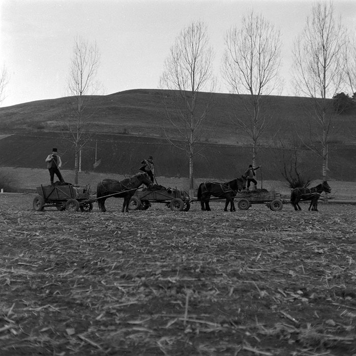 minerva_1986-1987_agrar_c8r5_002