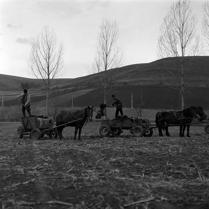 minerva_1986-1987_agrar_c8r5_005