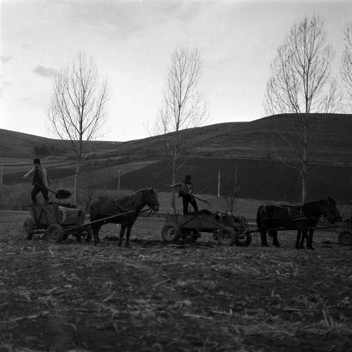 minerva_1986-1987_agrar_c8r5_006