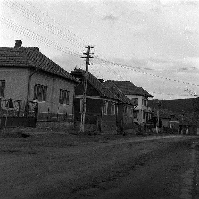 minerva_1986-1987_agrar_c8r5_007