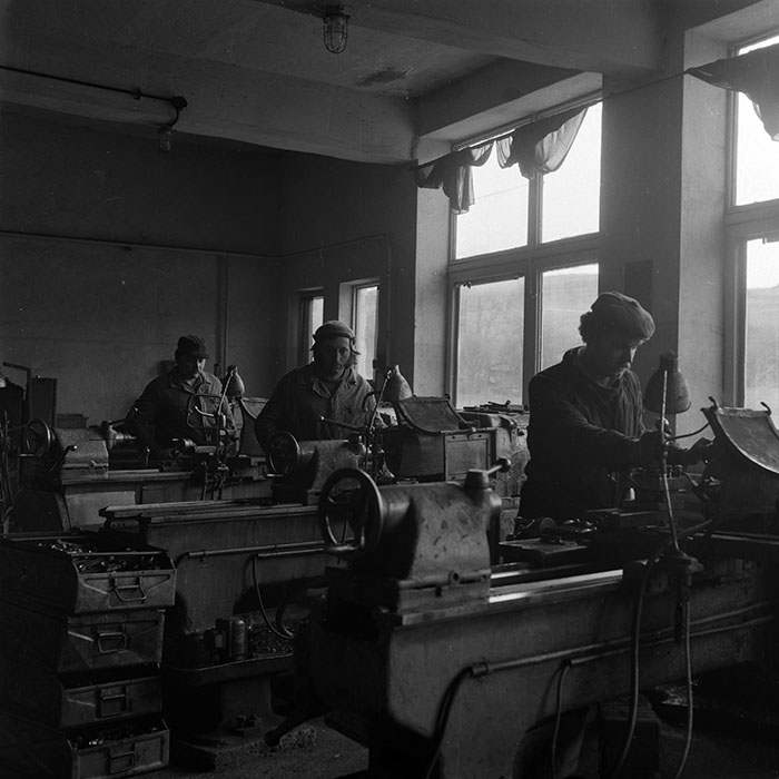 minerva_1986-1987_agrar_c8r5_011