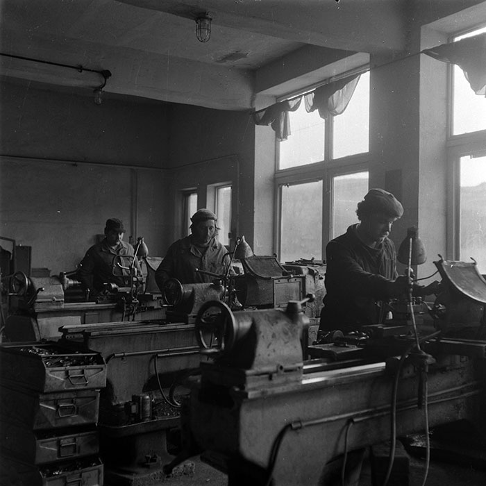 minerva_1986-1987_agrar_c8r5_012