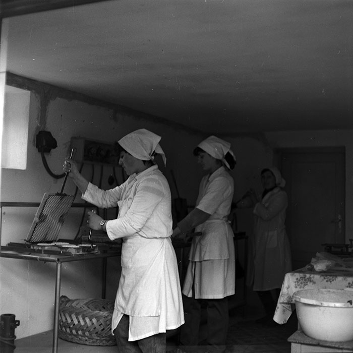 minerva_1986-1987_agrar_c8r5_017