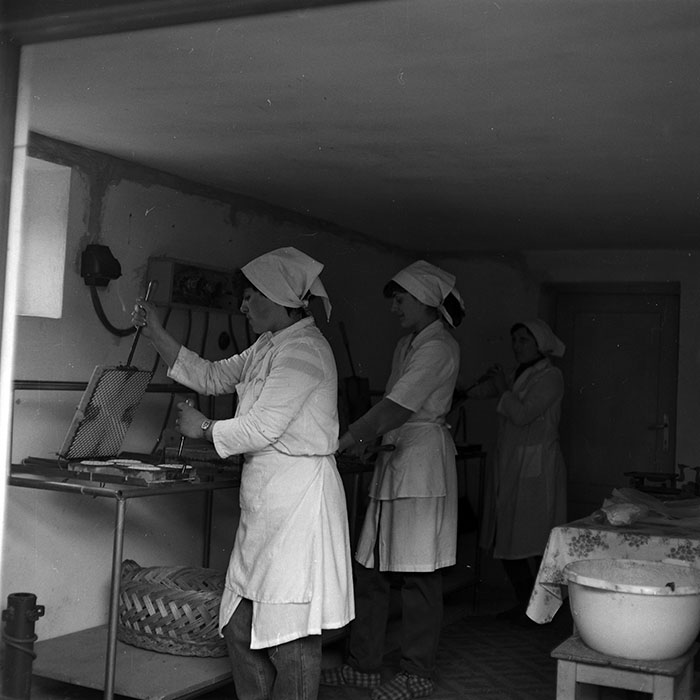 minerva_1986-1987_agrar_c8r5_018