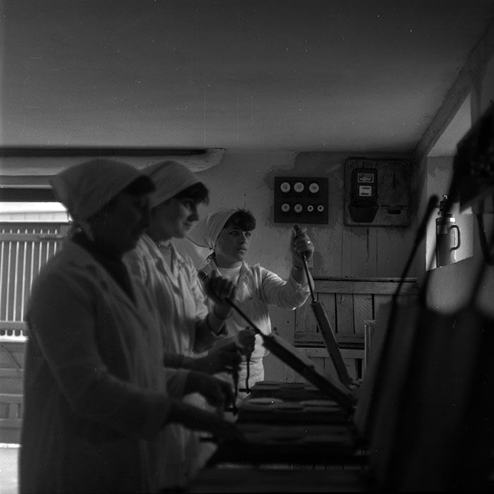 minerva_1986-1987_agrar_c8r5_019