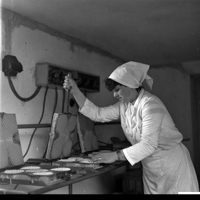 minerva_1986-1987_agrar_c8r5_020