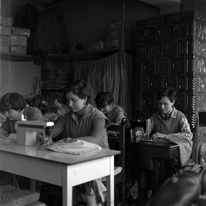 minerva_1986-1987_agrar_c8r5_021