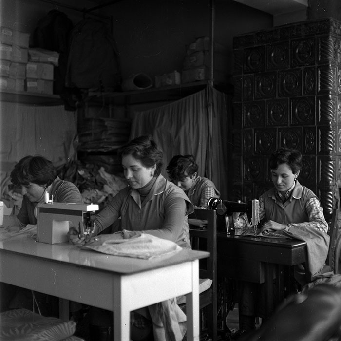 minerva_1986-1987_agrar_c8r5_022