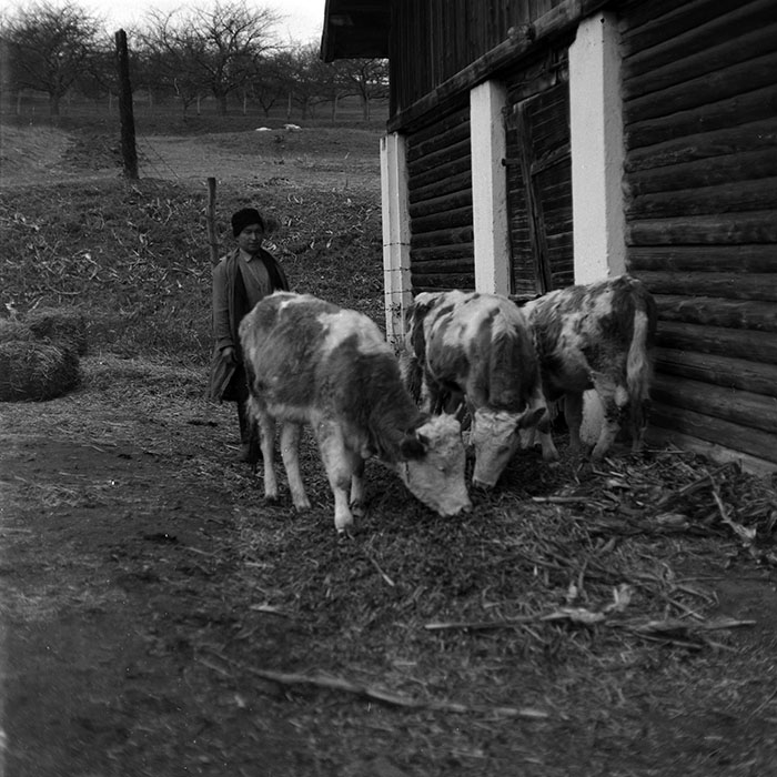 minerva_1986-1987_agrar_c8r5_023