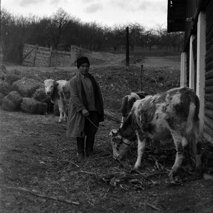 minerva_1986-1987_agrar_c8r5_024