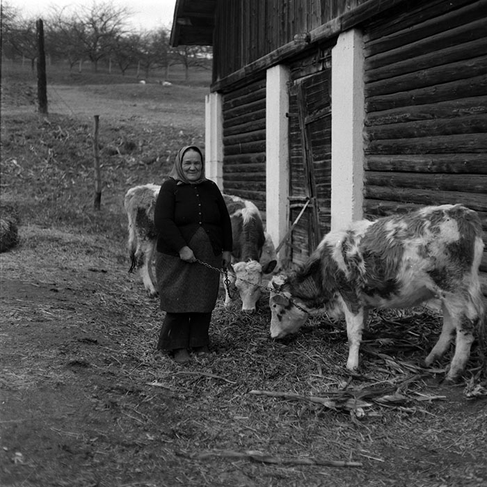 minerva_1986-1987_agrar_c8r5_025