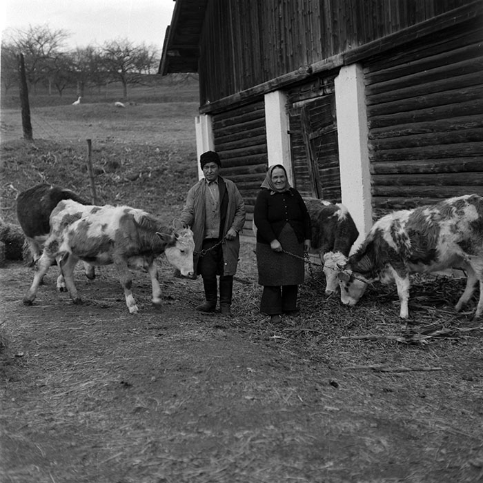 minerva_1986-1987_agrar_c8r5_026