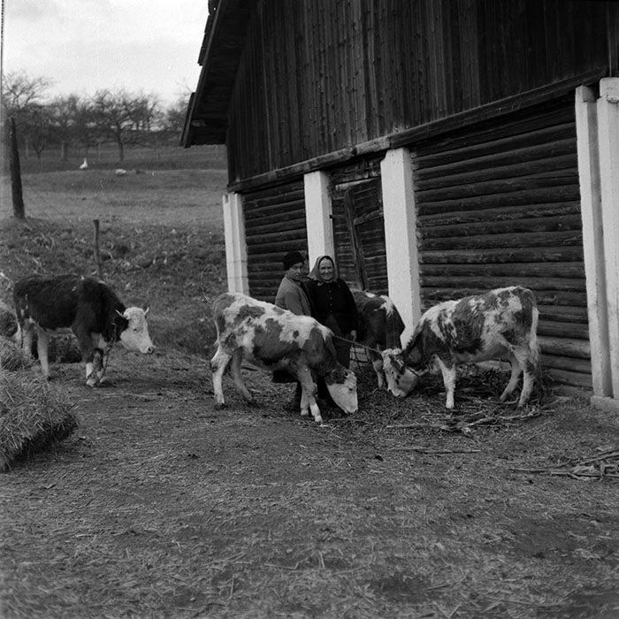 minerva_1986-1987_agrar_c8r5_027