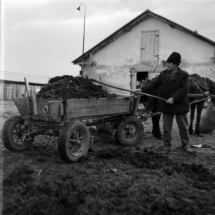 minerva_1986-1987_agrar_c8r5_028