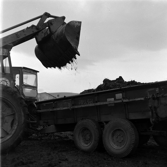 minerva_1986-1987_agrar_c8r5_029