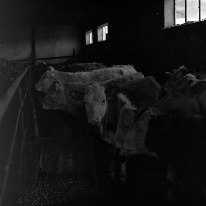 minerva_1986-1987_agrar_c8r5_035