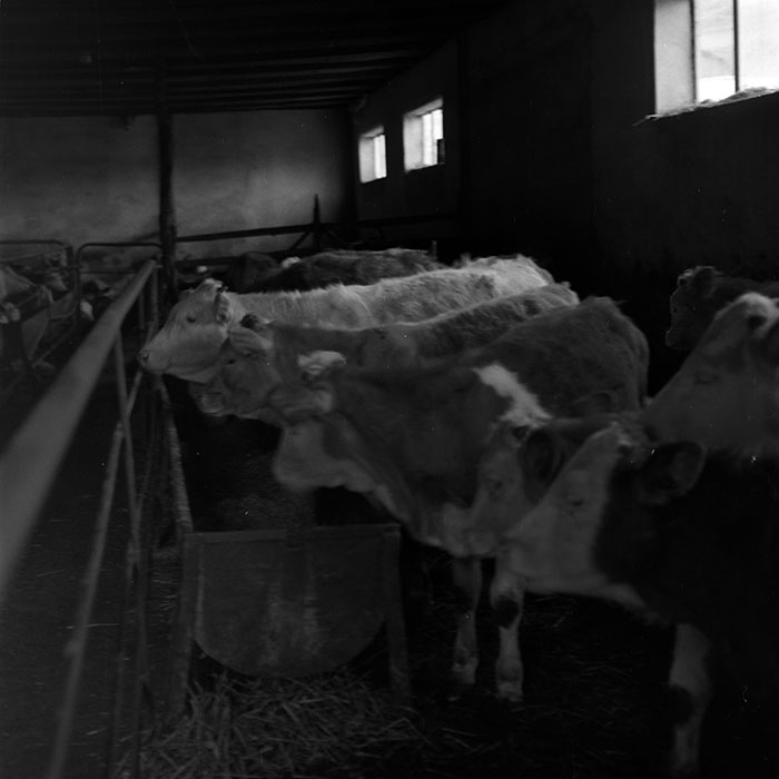 minerva_1986-1987_agrar_c8r5_036