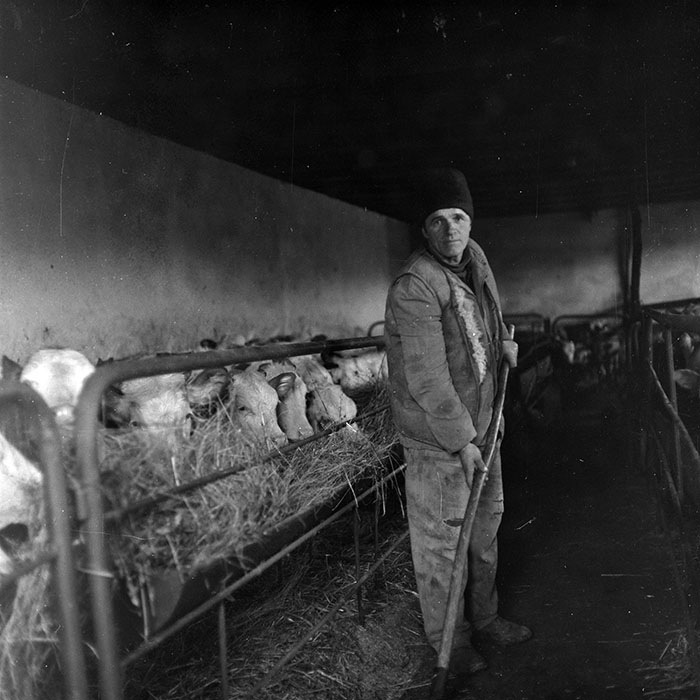 minerva_1986-1987_agrar_c8r5_037