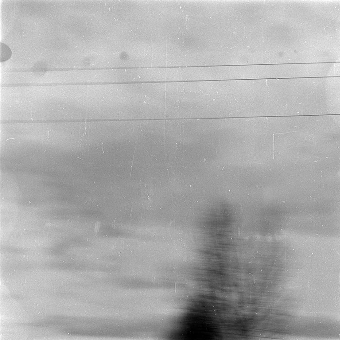 minerva_1986-1987_agrar_c8r5_040